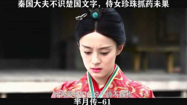 芈月传61集免费观看,芈月智斗权谋，揭开宫廷风云之谜
