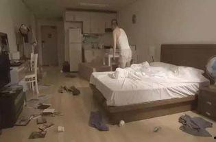 日韩AV家政妇,揭秘隐秘职业背后的生活与挑战